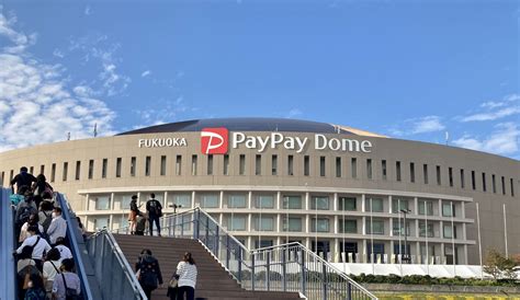 paypay ドーム周辺 ホテル 安い：なぜここは特別なのか？