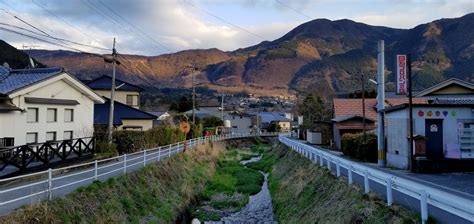 湯布院 食べ歩き 場所 そして、なぜかそこにはいつも猫がいる